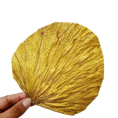 China Christmas Wedding Family Decorations Home Decor Wedding Centerpieces Dry Flower Arrangements lotus Leaves Bridal Bouquet Dry lotus leaves for sale