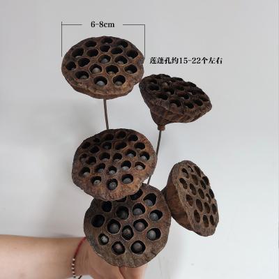 China Christmas Wedding Family Decorations Lotus Seed Pods ideas nature flower arrangements seed pods lotus pods for sale