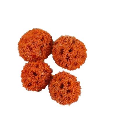 China Christmas Wedding Family Decorations 2 cm single-head Passepartout rodless orange maple fruit art layout art small fresh dried flowers DIY shooting for sale