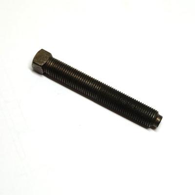 China Alloy steel construction OEM squared head bolt fasteners for sale