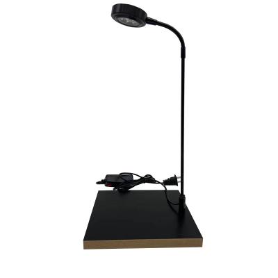 China Seed Starting Plant Black Wooden Desk Lamp LED Grow Light For Indoor Grow Lights for sale