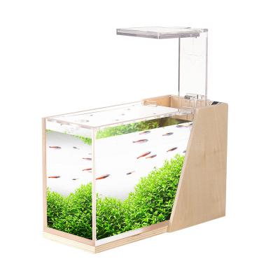 China Stocked Rectangle Long Size Huge Clear Acrylic Sheet Aquarium Fish Tank Without Top for sale