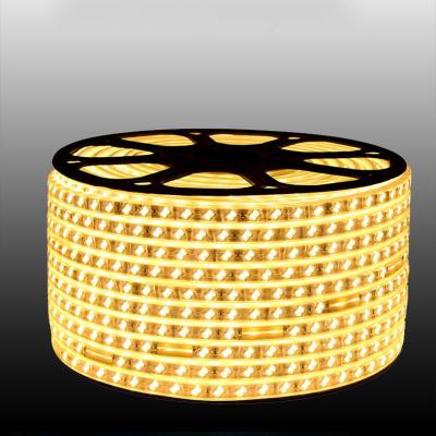 China Residential 220V Led Tiras LED Strip 5730 IP67 RGB White/Warm White 2 Row 120led Waterproof Online Retail Store for sale