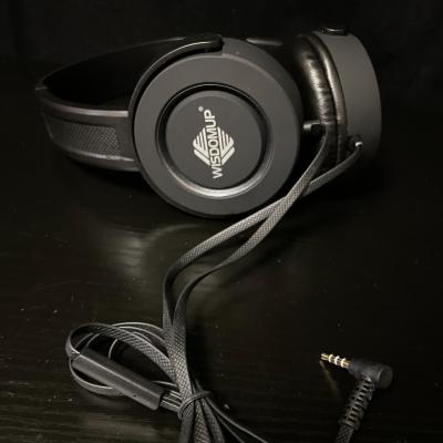 China Perfect Sound Gaming Earphone TDE-07 for sale