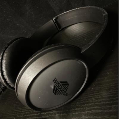 China Perfect Sound Gaming Earphone TDE-09 for sale