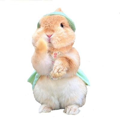 China Lovely Viable Handmade Little Pets Clothes Rabbits Border Spring Romantic Pets Dress Leash Sunbathing Party Clothes for sale