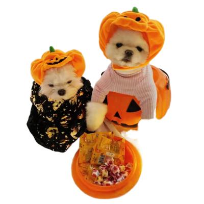 China Viable Decorative Pet Cat Dog Pumpkin Hat Halloween Ghost Festival Headdress Supplies Small Medium Large Dog Teddy / French Bulldog for sale