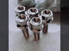 Titanium wheel bolt