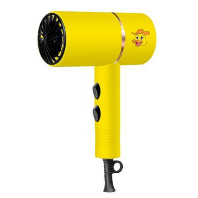 China Best 1200w Professional Negative Ion Private Label Wholesale Ionic Duck Hair Dryer for sale