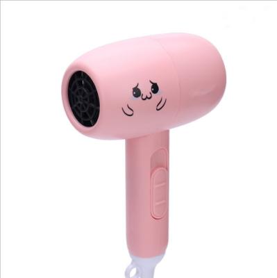 China New Arrival 800w Ionic Multifunctional Fast Drying Blow Hair AC Motor Ionic Hanging Hair Dryer for sale