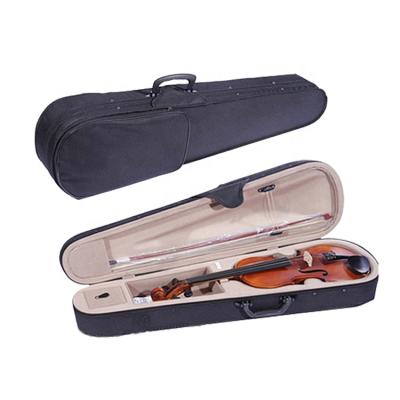 China Violin Pattern Violin Accessories Leather Case High Quality Colorful Waterproof Eva Printing Hard Biola for sale