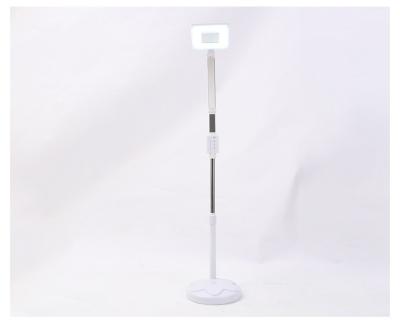 China Beauty Salon Factory Supplier Modern Professional Glass Floor Standing Magnifying Lamp for sale