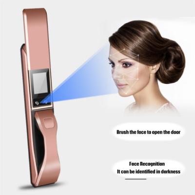 China Face Recognition Intelligent Door Lock Home And Office Anti Theft Use for sale