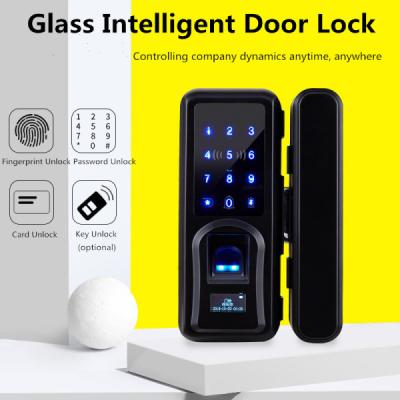 China Zinc Alloy Glass Door Lock , Automatic Intelligent Fingerprint Recognition Lock for sale