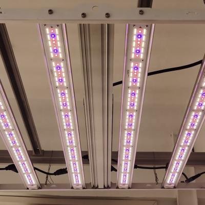 China Seed Starting Long Life Greenhouse Plant 650w Plastic Wholesale Greenhouse Grow Led Light Indoor Plants for sale