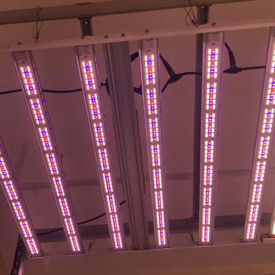 China Seed Starting Durable 650W 4000K IP66 Wholesale AC 100-277V Strip Commercial Led To Grow Light for sale