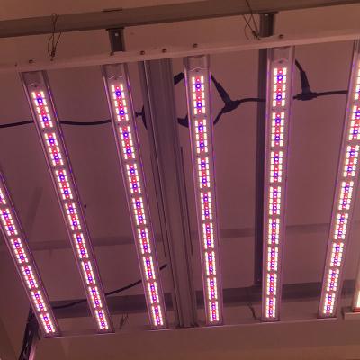 China Seed Starting Vegetable 650W Flower Fruit Greenhouse High Power High Output Adjustable Spectrum Led Best Grow Light for sale