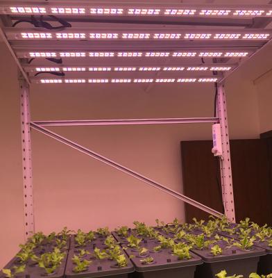 China Seed Starting Professional Factory Wholesale 650W 4000K IP66 Long Lasting Seed Starting Led To Grow UV Light for sale