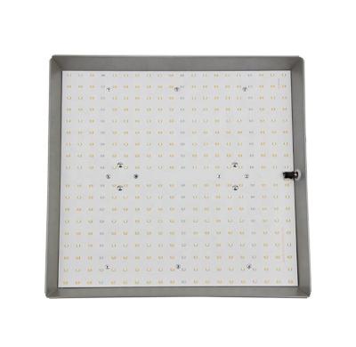 China Seed Starting Greenhouse 1-10v Smd2835 Plant Bar Led To Grow Light For Indoor Garden for sale