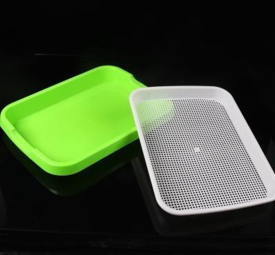 China Indoor Plant Grow Indoor Plant Growing Germinat Microgreen Professional Green Supply Plastic Seeding Tray for sale