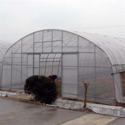 China Greenhouse Hot Galvanized Greenhouse Seedling Sheet Plastic Greenhouse Seedling Greenhouse Vegetable Garden Advanced Growing Greenhouse for sale