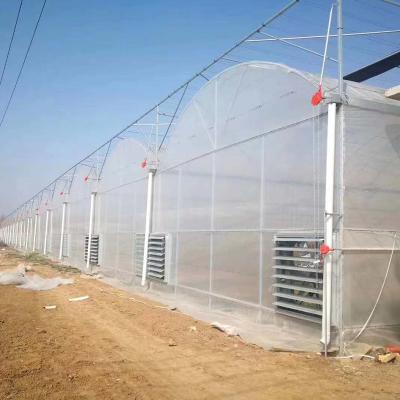 China Growing Greenhouse Seedling Plastic Sheet Height 5.5m-7.5m Hot Galvanized Top Multi Span Commercial Cost Agricultural Greenhouses for sale