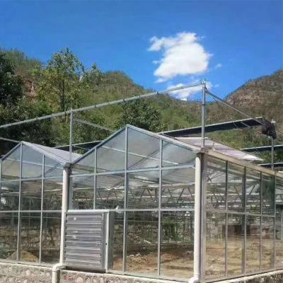 China Greenhouse Seedling Greenhouse Growing Structure Galvanized Low Cost Single Multi-span Steel Frame Span Agricultural Greenhouses For Plant Growth for sale