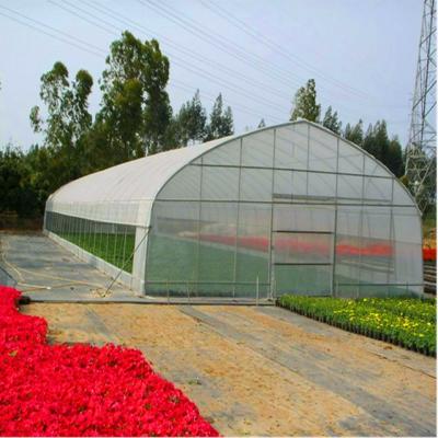 China Greenhouse Seedling Growing Tunnel Plastic Sheet Greenhouse With Hydroponic Growing System for sale