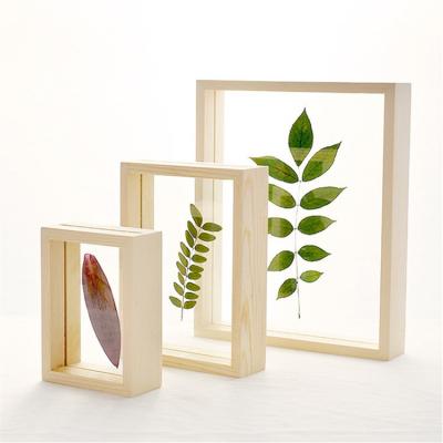 Κίνα Creative Solid Wood and Acrylic Double-Sided  Plant Specimen Transparent Frame Original Wood Color 3D Picture Frame Background Wall προς πώληση