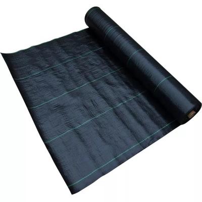 China Modern UV Treated Plastic PP Woven Geotextile Silt Barrier Film Fabric Supplier PET for sale