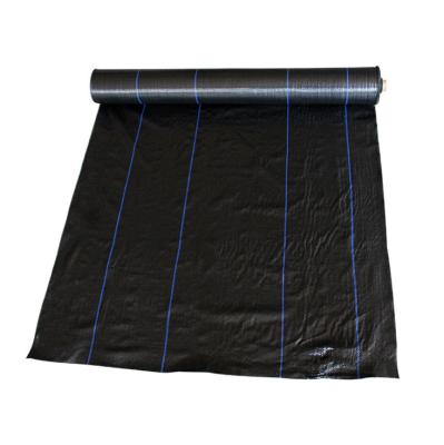 China Anti-grass Membrane PE Membrane PE Weedmat Weed Control Weed Mat PP Woven Cloth Blocker Mulch Film Landscape Cloth Barrier Mat for sale