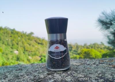 China Premium Seasoning Grinder: Durable Components for Perfect Spice Grinding à venda