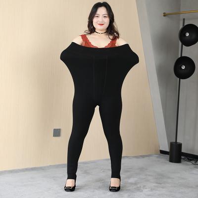 China Breathable High Quality Fall Winter Thick Style Warm Pants Slim Women Leggings Wholesale High Waist And High Elasticity Leggings for sale