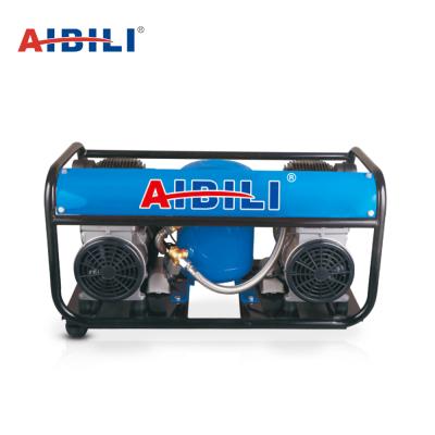 China Hot Selling 220v 100psi 9l 3hp Oil Free Airbrush Mini Car Wash Station Portable Double Cylinder Pump Air Compressor for sale