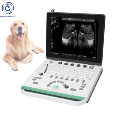 中国 CE OB Clinic Instruments Names Portable Animal Veterinary Ultrasound Equipment Ultrasound Medical Ultrasound Instruments 販売のため