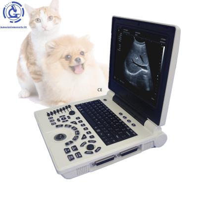 中国 Small Animal Ultrasound OB Digital Animal Medical Ultrasound Ultrasound Medical Dog Kidney Ultrasound 販売のため