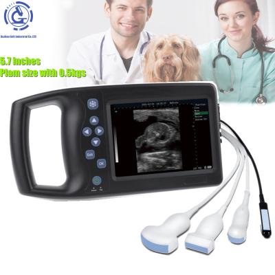 中国 OB Scan Light Image Digital Mini Ultrasound Machine Portable Veterinary 販売のため