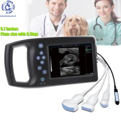 중국 Portable OB Clinic Animal Veterinary Scanning Ultrasound For Nerve Block For Sale 판매용