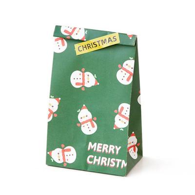 China Fancy Green Jewelry Custom Recyclable Christmas Gift Recyclable Shopping Pouch Paper Printer Wrapping Paper Bag With Ribbon for sale