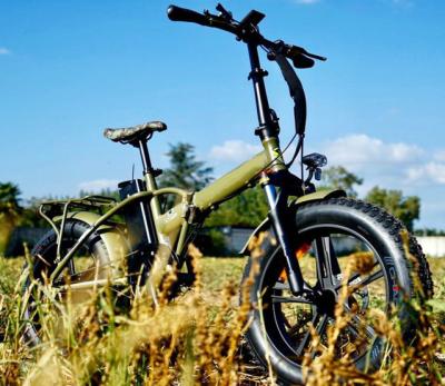 China Aluminum alloy factory direct sale fatbike20 fold electric bike with outstanding quality for sale