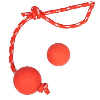 China IQ Training Viable Durable Pet Food Interactive Chew Ball Toy Tooth Cleaning For Small Medium Large Dogs Toys With Rope for sale