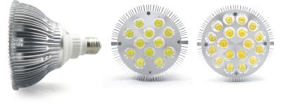 China 12v 24w PAR38 cool or warm white, RGB Led Spot Lamps (12 x 2W) for sale