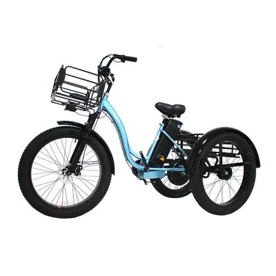 China 2020 Hot Sale Electric Cargo 3 Wheel Electric Bicycle 48V 350W Powerful Tricycle For Adults for sale