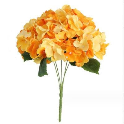 China Real artificial silk hydrangea wedding 5 flower heads wholesale for wedding decor for sale