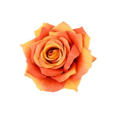 China Wedding home decoration party hot sale diamond rose heads artificial flower silk red rose heads for wedding for sale