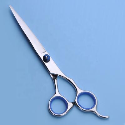 China Sustainable Hair Application And Stainless Steel Shears Different Blades Of 6 Inch Hair Scissors for sale