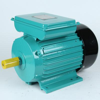 China YL Series Fully Enclosed Dual 1/2 HP 220v 2880rpm Single Phase Capacitor Induction Motor for sale