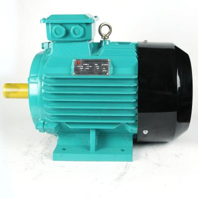 China Totally Enclosed AC Gear Motor Electric Car Three Phase Motor 300kw Totally Enclosed for sale