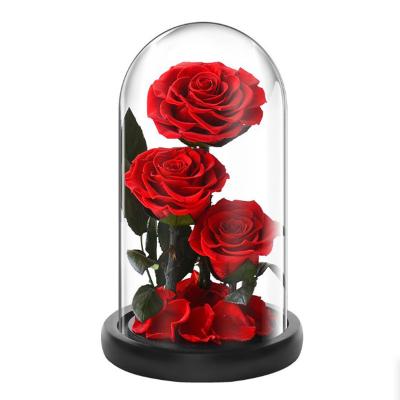 China Real Roses Beauty and the Beast Preserved Flowers in Glass Dome for Christmas Mothers Day Valentines Day for sale