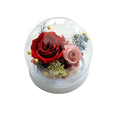 China Rose Flower Gift Artificial Rose Flower in Glass Dome Women Gifts Ideas for Valentine's Day Christmas Mother's Day 4.7*5.3in for sale